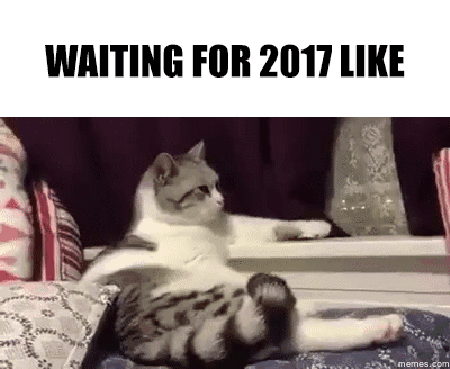 2017-cat
